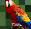 How to Pixelate Background or Foreground